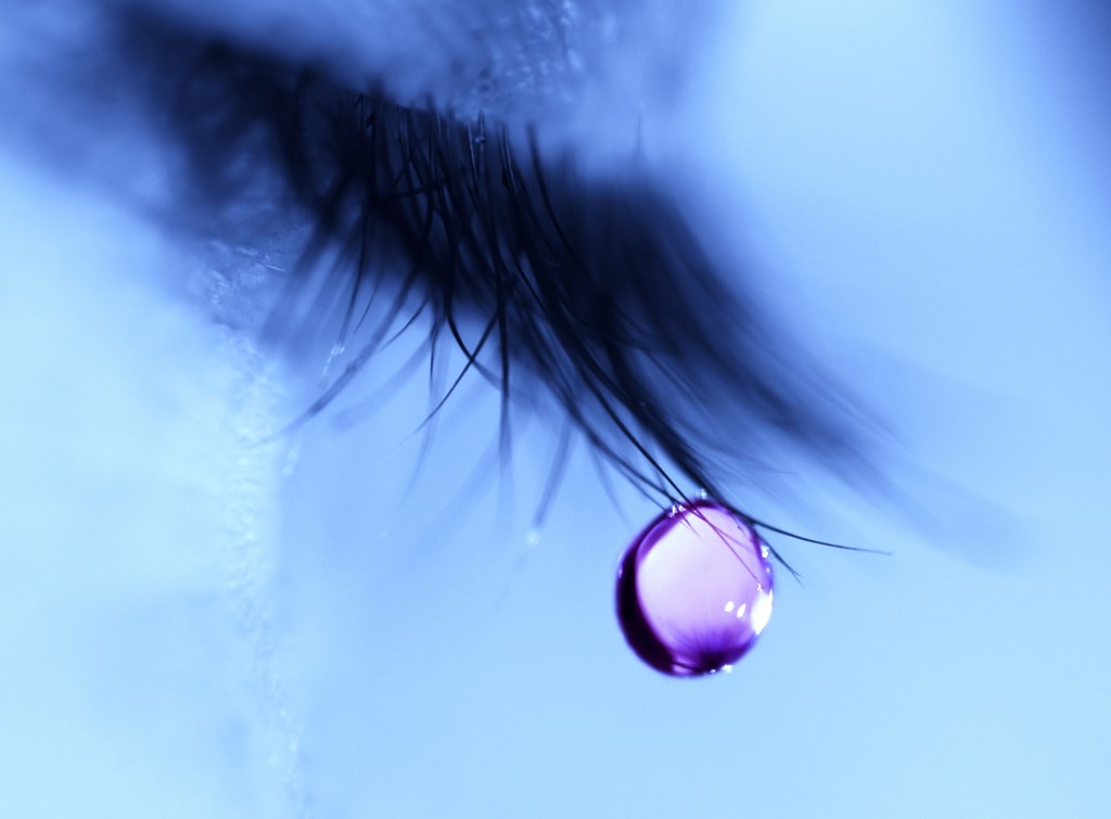 Focalização no sentir para viver&nbsp;melhor